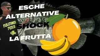 Pesca Carp Esche Alternative!