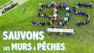Alternative #8 : Les Murs à Pêches