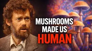 Terence McKenna: Psychedelics Created Human Consciousness | Hallucinogens & Culture