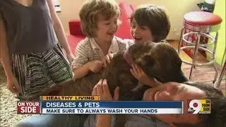 Pets can spread diseases to humans