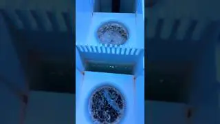 Нерассказанный секрет устранения шума в отстойнике вашего рифового аквариума