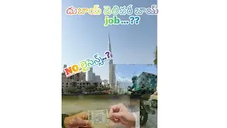 దుబాయ్ లో డెలివరీ జాబ్ చెయ్యాలిఅంటే.?How to Apply Delivery Boy job in Dxb #dubai #food #bike #viral