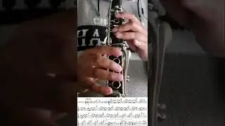 MARCHA SATINADOR EN CLARINETE