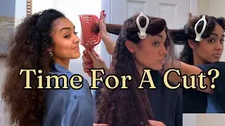 My Curls Were So Tangled I Had to Trim 💇🏽&zwj;♀️ Pre-Wash Routine for 3B&ndash;4A Bruhed Out Hair