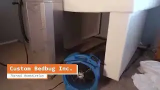 Custom Bedbug Heat Treatment &ndash; 60 Sec Loop (Embed)