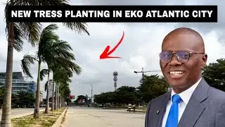 Planting Of New Trees At Eko Atlantic And Orca Mall Axis 