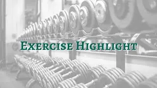 Exercise Highlight - Planks & Side Planks