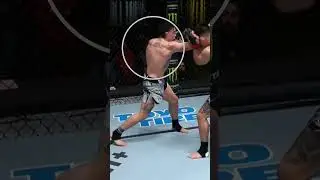 1 Punch ends fight!    UFC Finish Knockout #shorts #mma #breakdown