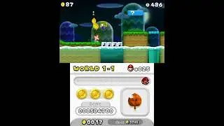 NSMB2 Stage Showcase - Puddle Plains