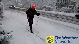 Halifax snowstorm packs a wallop, but the locals really don't seem to mind.