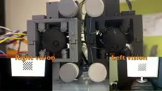 Cable Driven Robotic Eyes