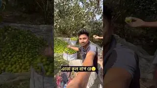 এতো কুল বাপ রে 😲🍏