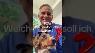 ACHTUNG: Dackel im B&uuml;ro ! Der hanfried B&uuml;rohund 😉👍