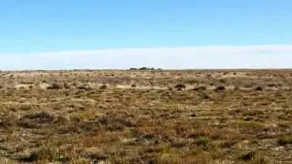 Thomason CRP Land Auction w/reserve