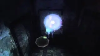 DSP Experiences Bugged Cutscene Mechanics