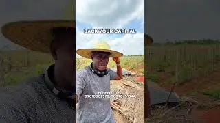 Best Shortlet Alternative In Nigeria | Farmland | Aroko