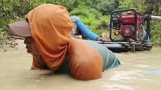 Cari emas pakai mesin alkon#goldhunter #goldprospector #goldminer #goldmine #dredge #dredging