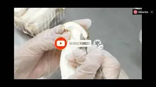 How to make mushroom tissue culture