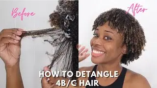 How To DETANGLE DRY TANGLED NATURAL 4B/4C HAIR WITH EASE|Hair Hacks