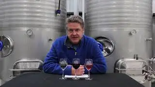 VINTNER'S CHOICE CLUB: 2019 Spring Release Wines