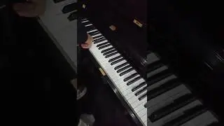 Professional Violin Concert Performance | Live Performance Techniques & Stage Success Secrets #music