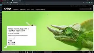 Как настроить Radeon Software Adrenalin 2020 для записи с экрана