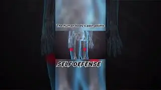 The human body&rsquo;s pain points #shorts #fight