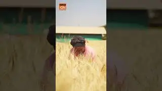 Celebrating the Resilient Women of Agriculture: Nurturing the Future