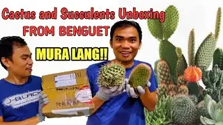 UNBOXING NANG MURANG CACTUS SA BENGUET