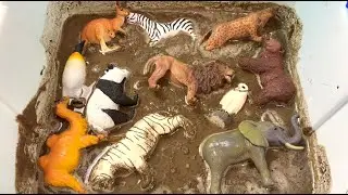 Muddy Wild & Zoo Animals Adventure For Toddlers Kids