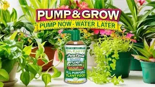 Pump & Grow &ndash; Pump it UP!