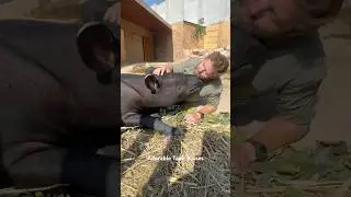 Meeting A Rare Animal I've Always Wanted To Meet
