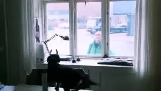 Animales Fail Compilacion 2013 FailMachinima