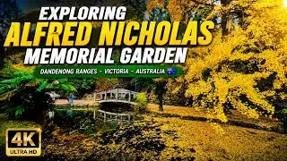 Alfred Nicholas Memorial Gardens, Dandenong Ranges, Victoria, Australia | Drone photography - 91