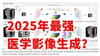 2025年最强医学影像生成？为什么过不了FDA审批？