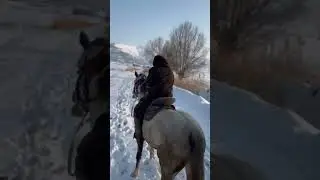 Riding Horses #countryside #cat #horse #animals #farmlife  #villagelife