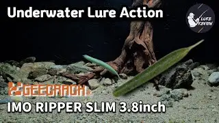 BassFishing [Geecrack] 2. IMO RIPPER SLIM 3.8inch&nbsp; - Underwater Lure Action
