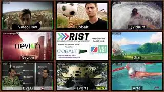RIST Protocol Demo