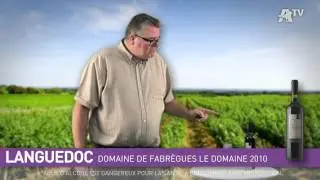 Foire Aux Vins Auchan 2012 - Domaine de Fabr&egrave;gues