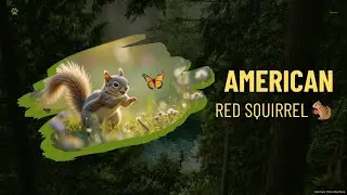 The Complete History of Squirrels &ndash; Evolution, Culture, and Urban Survival