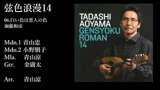 弦色浪漫14(試聴版)/青山忠 Tadashi Aoyama-Gensyoku Roman 14 ~コンドルは飛んでゆく~「いちご白書」をもう一度~神田川~未来予想図Ⅱ~You Raise Me Up