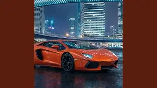 GANGSTA LAMBO