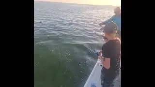 Johnny Danger Tarpon fishing. push button reel. #fishinglife #ocean #boating