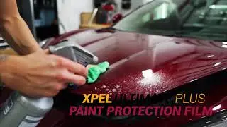 2020 Corvette C8 Receives Full Body Xpel PPF and Ceramic Pro