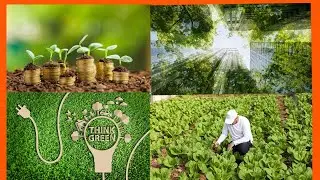 KORERA AMAFARANGA AVUYE MURI GREEN BUSINESS!!! TANGIRA WIGE UBURYO BWIZA BWAKWINJIRIZA AGATUBUTSE