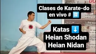 Clases de Karate-do # 4️⃣. Katas Heian Shodan y Nidan.