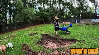 Are DIY Ponds Worth It?