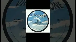 Minimal Vision - The Minimal - Vibraphone Records