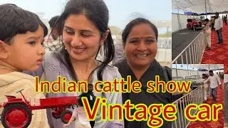 Indian cattle show Rajkot me aa gye hai beautiful Gir & kankrej  