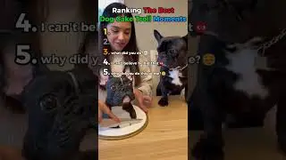 Ranking the best dog cake troll moments🐶